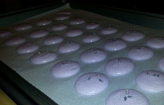 Sprinkle flower buds or other toppings over the piped macaron shells.
